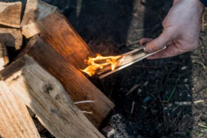 preturile la lemnul de foc in 2025 cu cat da romsilva metru cub 68dd0c9444188