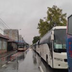 primaria voluntari se lauda ca in plina austeritate a plimbat mii de pelerini la iasi la moastele sfintei cuvioase parascheva 68ea988843732