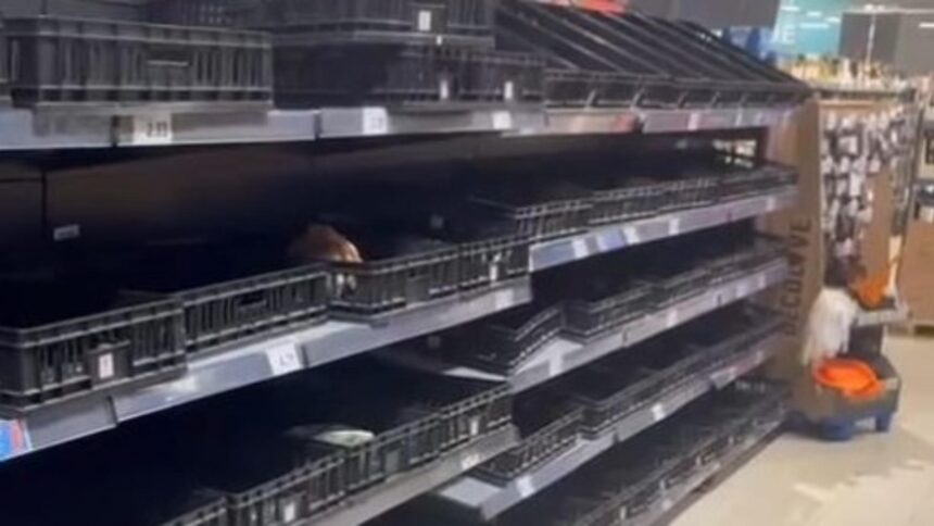 rafturile mai multor magazine din constanta golite de oamenii care si fac provizii inainte de potopul de cod rosu foto 68e5530c46c0c