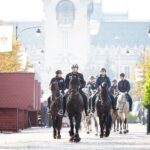 raport prea multi politisti in unele regiuni precum iasul prea putini in altele ce judete ar fi afectate daca guvernul bolojan ar taia posturile 69049b146985c