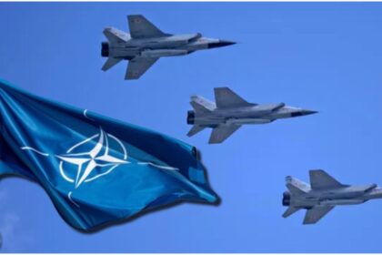 scandalul de coruptie din nato ia amploare functionari mituiti pentru contracte de armament si tehnologie 68f9440a5edcc