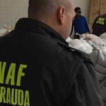 seful dna este suparat ca anaf a trimis anul trecut doar patru sesizari pentru evaziune fiscala 68e0363ce4db4