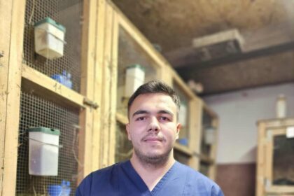 student la facultatea de medicina veterinara voluntar intr o campanie de vaccinare a iepurilor 68de10d17df08