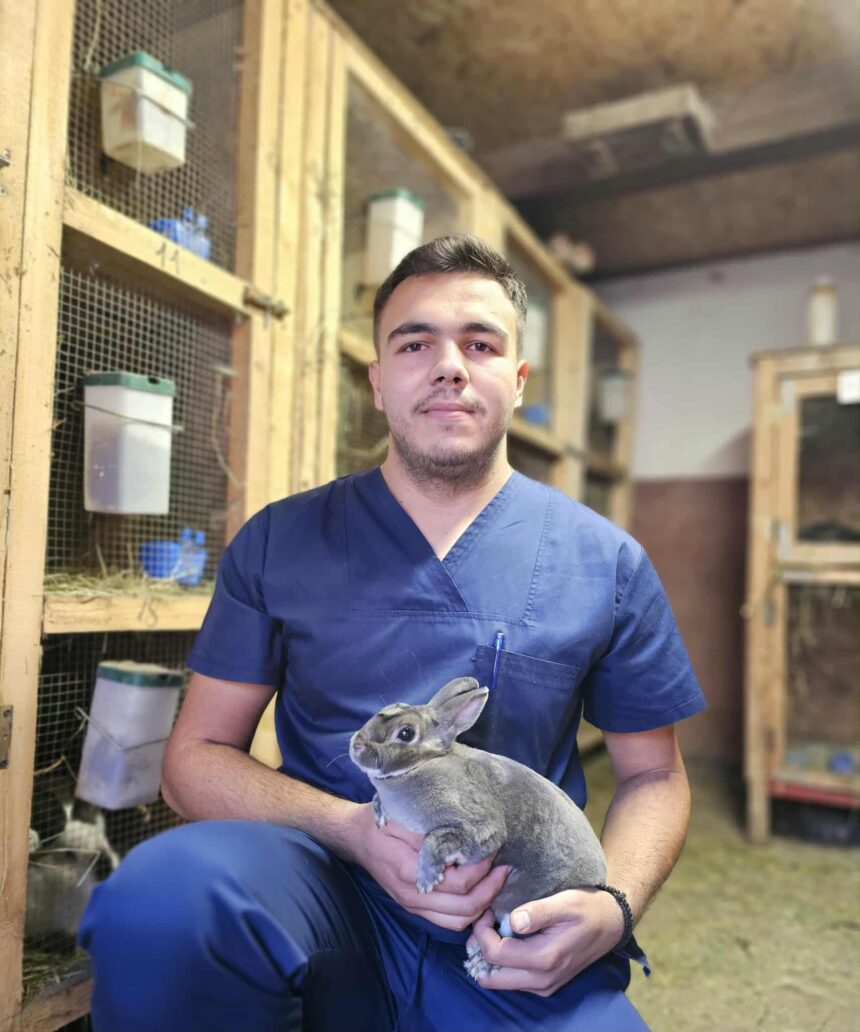 student la facultatea de medicina veterinara voluntar intr o campanie de vaccinare a iepurilor 68de10d17df08