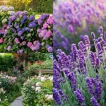 top 5 plante pe care nu trebuie sa le cureti toamna expertii in horticultura au dezvaluit motivul 68deb238d4f92