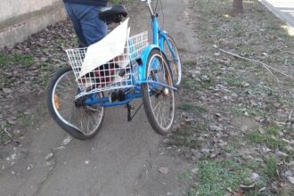 un iesean a fost la un pas sa si piarda viata fiindca a refuzat sa imprumute tricicleta sa unui vecin agresorul care l a calcat pe cap a primit 9 ani de inchisoare 68e067ec79b7c