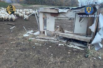 un nou caz de sclavie in judetul iasi victimele puse sa cerseasca si sa munceasca fortat la o stana 6902160f7aee0