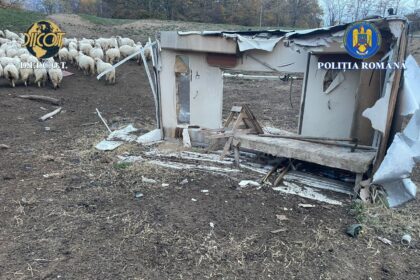 un nou caz de sclavie in judetul iasi victimele puse sa cerseasca si sa munceasca fortat la o stana 6902160f7aee0