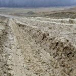 viata la tara furci ciocane pari si bmw x6 o poveste violenta cum rar se mai poate auzi pe holurile instantelor iesene 6902c79a88a64