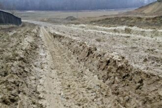 viata la tara furci ciocane pari si bmw x6 o poveste violenta cum rar se mai poate auzi pe holurile instantelor iesene 6902c79a88a64