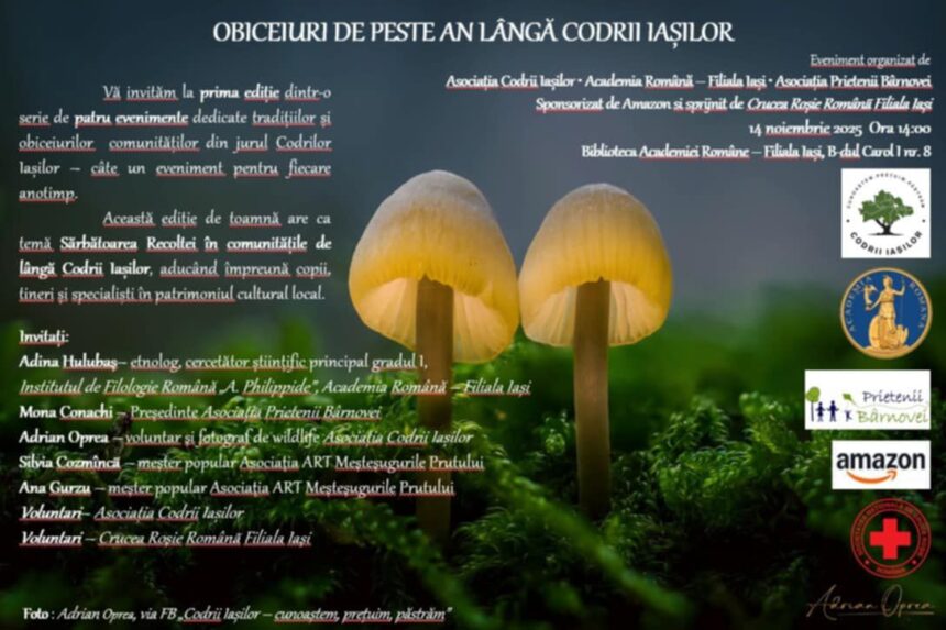 academia altfel deschide o noua colaborare educationala langa codrii iasilor ateliere despre traditii si identitate culturala 6916918ee5915