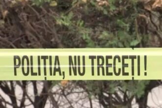 adolescent de 17 ani retinut pentru omor ar fi ucis un barbat cu care lucra la o ferma de vaci in botosani 69233f9b62eb5