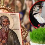 ajunul sfantului andrei 2025 traditii obiceiuri si superstitii motivul pentru care se pune busuioc sub perna si grau la incoltit 692af3e3df462