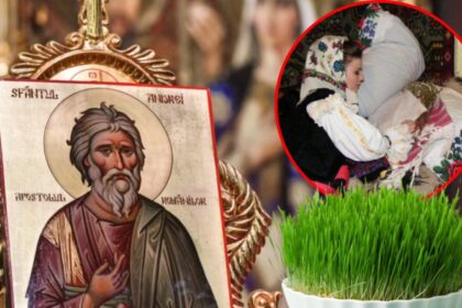 ajunul sfantului andrei 2025 traditii obiceiuri si superstitii motivul pentru care se pune busuioc sub perna si grau la incoltit 692af3e3df462