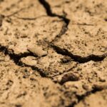 alerta in europa scaderea rezervelor de apa devine critica cum este afectata romania 692c83ac3e44c