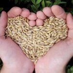 alimente care curata vasele de sange si sustin sanatatea inimii 6923fed57cc27