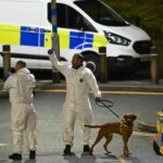 atac sangeros intr un tren din anglia noua oameni au fost injunghiati doi suspecti au fost arestati a fost activat plan de alerta antitero video 69070dbe83877