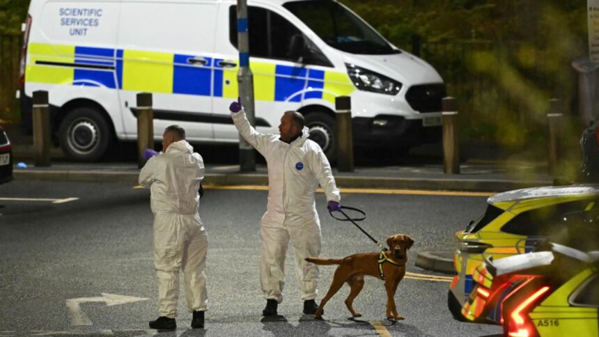 atac sangeros intr un tren din anglia noua oameni au fost injunghiati doi suspecti au fost arestati a fost activat plan de alerta antitero video 69070dbe83877