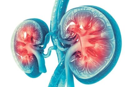 cercetatorii au identificat un mecanism molecular care poate declansa o boala autoimuna fatala 690a38f2d84ab