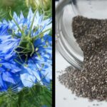 condimentul care ajuta la combaterea obezitatii si scaderea colesterolului 69245332eac5d