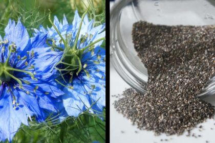 condimentul care ajuta la combaterea obezitatii si scaderea colesterolului 69245332eac5d