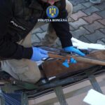 doi barbati din bistrita au fost retinuti dupa ce au ridicat un colet cu arme letale venit din spania video 6921ee1e49633