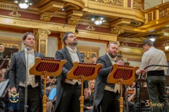 ecouri romanesti la sala de aur a musikverein din viena 6929b40fe5a5e