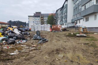 focar de infectie printre blocurile reabilitate cu 1 milion de euro la ciurea bonus pot lua oricand foc deoarece constructorul a uitat sa scoata cosurile de fum prin acoperis 691c34eba1a97