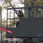 fugarul ghita legaturi cu firma care detine panourile publicitare instalatie de facut bani romanii parcheaza el incaseaza 692774c64c6c2