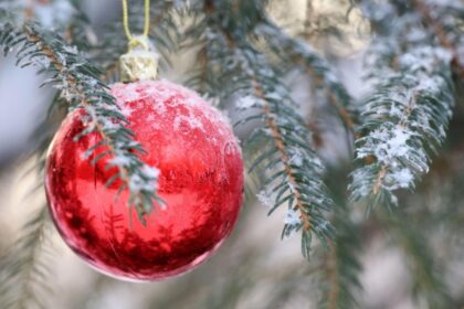 iarna intarziata vreme neasteptat de calda in decembrie craciun cu temperaturi peste normal 692945f7f1de6