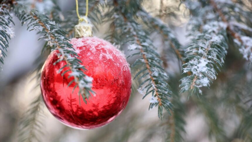 iarna intarziata vreme neasteptat de calda in decembrie craciun cu temperaturi peste normal 692945f7f1de6