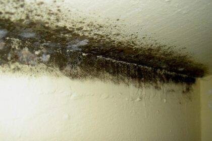 igrasia s a intins la circa 51 dintre locuintele romanilor care sunt cele mai grave probleme cu care se confrunta gospodariile locale 690d53786ba8a