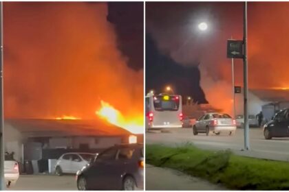 incendiu de proportii in localitatea domnesti judetul ilfov pompierii intervin cu mai multe autospeciale 6925fb696939a