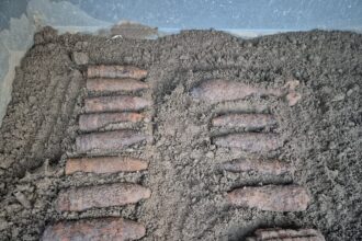 interventii pirotehnice in judetul iasi dupa descoperirea unor elemente de munitie 69272516163a2