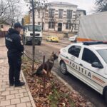 politisti cu caini de serviciu in scolile din iasi ampla actiune preventiva in unitati de educatie din municipiu 6914ba78f0e14