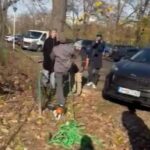 scandal in sectorul 3 din cauza taierilor abuzive proteste dupa taierile arborilor 6925e070626ff