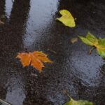 schimbare radicala a vremii de miercuri ploi vant si temperaturi in scadere accentuata la munte sunt asteptate ninsori 6926bdf0c4480