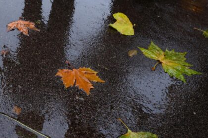 schimbare radicala a vremii de miercuri ploi vant si temperaturi in scadere accentuata la munte sunt asteptate ninsori 6926bdf0c4480