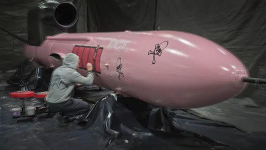 ucrainenii il vaneaza pe vladimir putin cu racheta roz flamingo fondurile pentru productia sa au fost stranse prin cheta 6921d1596d0f3