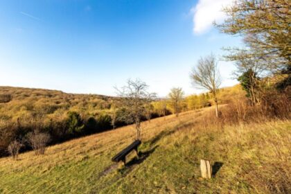 anm temperaturile vor ramane peste mediile climatologice pana la final de decembrie 692e9eecd15be