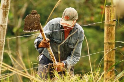 bani europeni pentru fermierii romani sesiune de finantare de 151 milioane euro din ianuarie 2026 69544557129f6