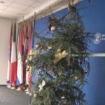 brad de craciun ca dupa razboi la ministerul lui pislaru imagine jenanta pentru o institutie publica 6955101999804