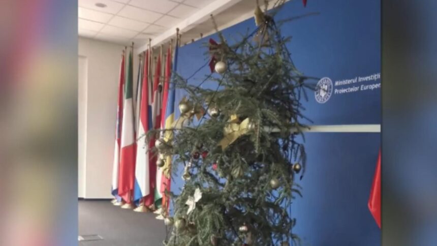 brad de craciun ca dupa razboi la ministerul lui pislaru imagine jenanta pentru o institutie publica 6955101999804