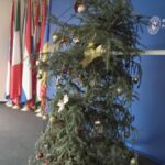 bradul progresistilor e ponosit si sta sa cada imaginea care spune mai mult decat o mie de discursuri 6954430acf695