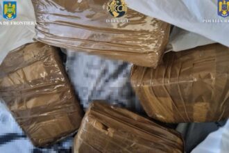 ce a patit un iesean prins cu 50 kg de cocaina la el norocul lui a fost ca l au prins olandezii nu romanii 692cf7b248665