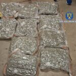 ce au descoperit procurorii diicot in doua trolere suspecte aduse in bucuresti prin curierat patru indivizi au fost arestati 6945742bab257