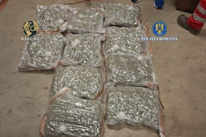 ce au descoperit procurorii diicot in doua trolere suspecte aduse in bucuresti prin curierat patru indivizi au fost arestati 6945742bab257