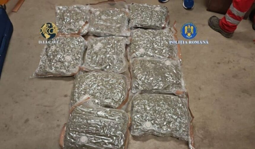 ce au descoperit procurorii diicot in doua trolere suspecte aduse in bucuresti prin curierat patru indivizi au fost arestati 6945742bab257