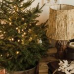 ce trebuie sa faci cu bradul natural de craciun ca sa reziste mai mult trucul pe care trebuie sa l cunosti 693673d66e5f6