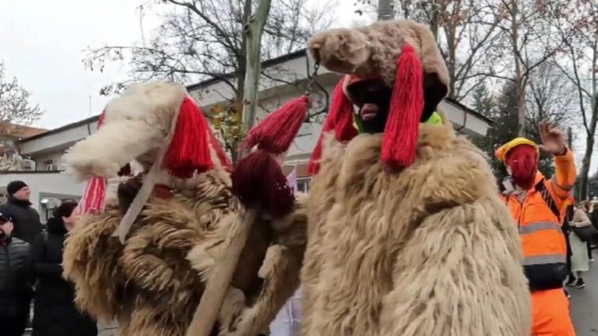 colindator batut cu bestialitate pentru ca nu stia versurile scene cumplite de sarbatori 694fab993ee6c